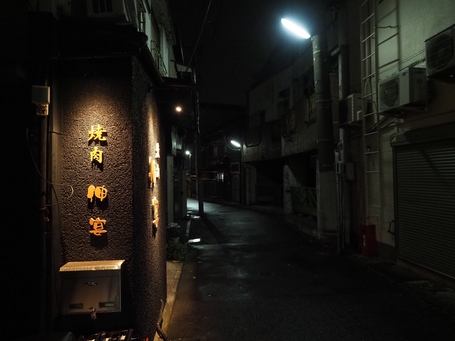 P3190141.jpg