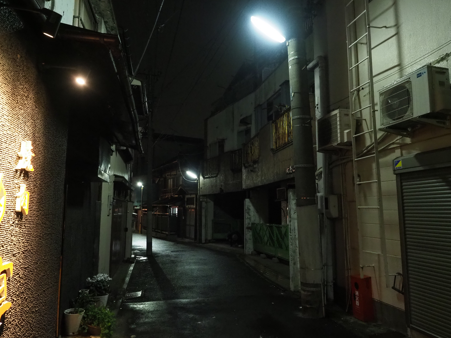 P3190144.jpg