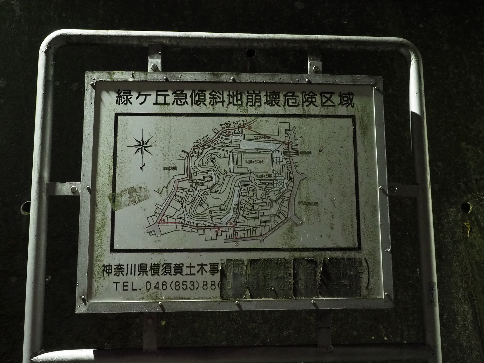 P3190150.jpg