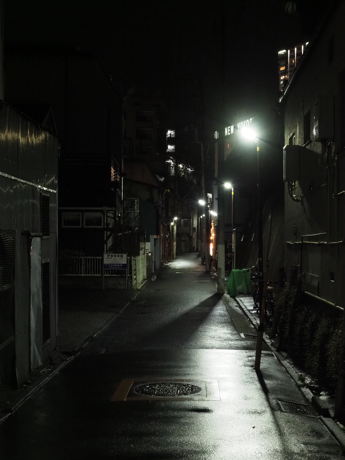 P3190152.jpg