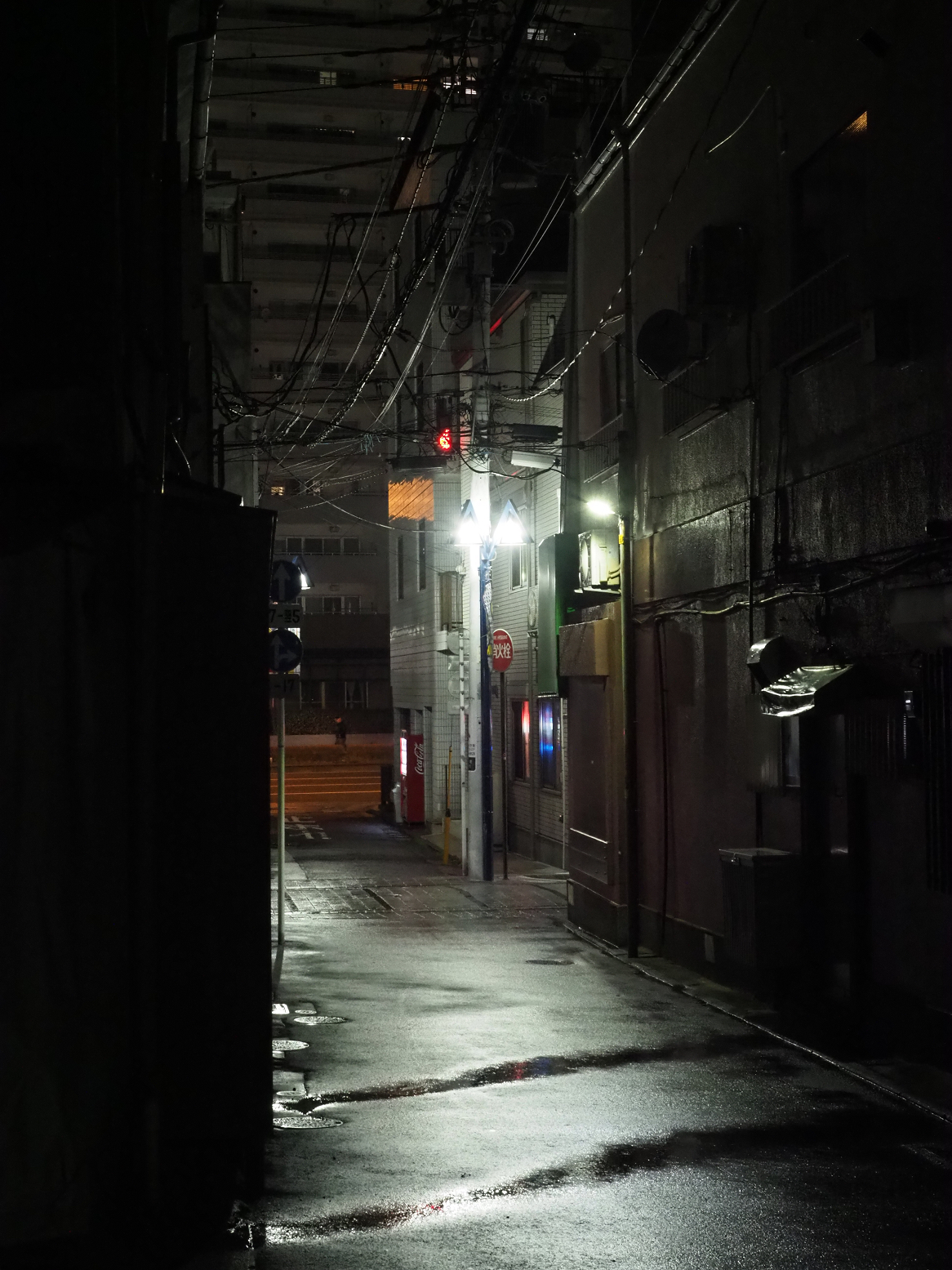 P3190157.jpg