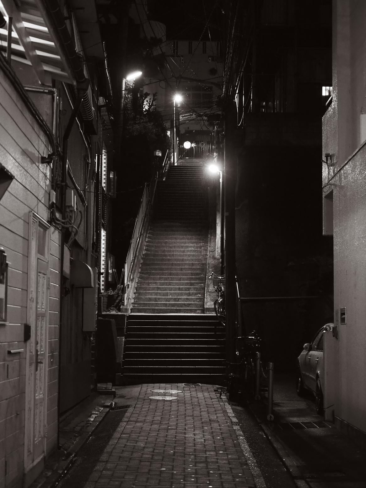 P3190167.jpg