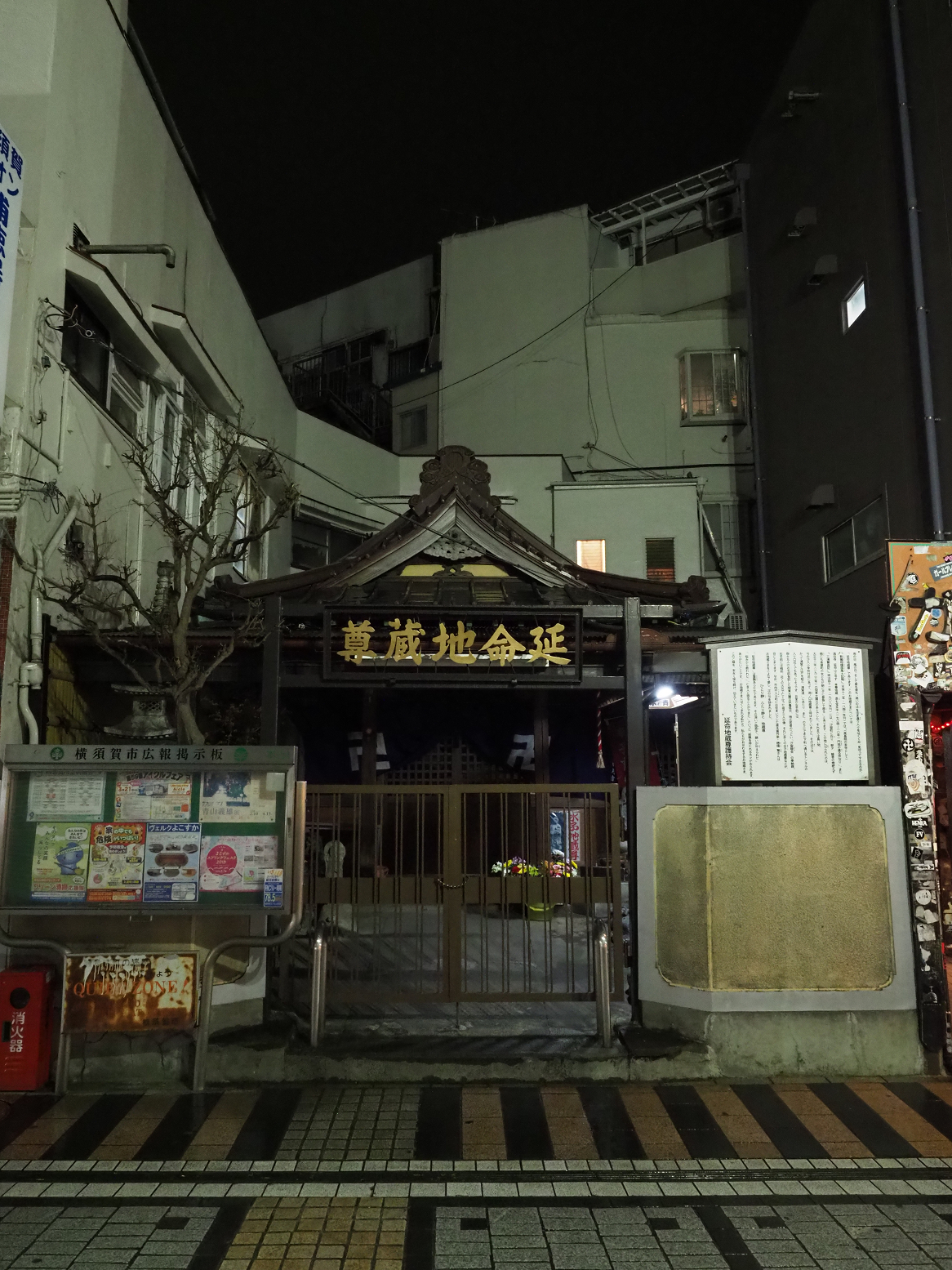 P3190171.jpg