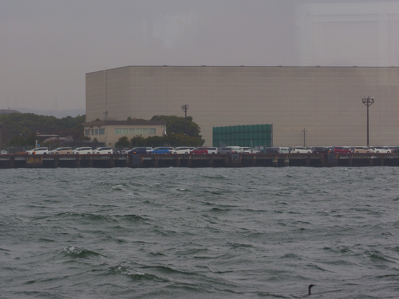P3200541.jpg