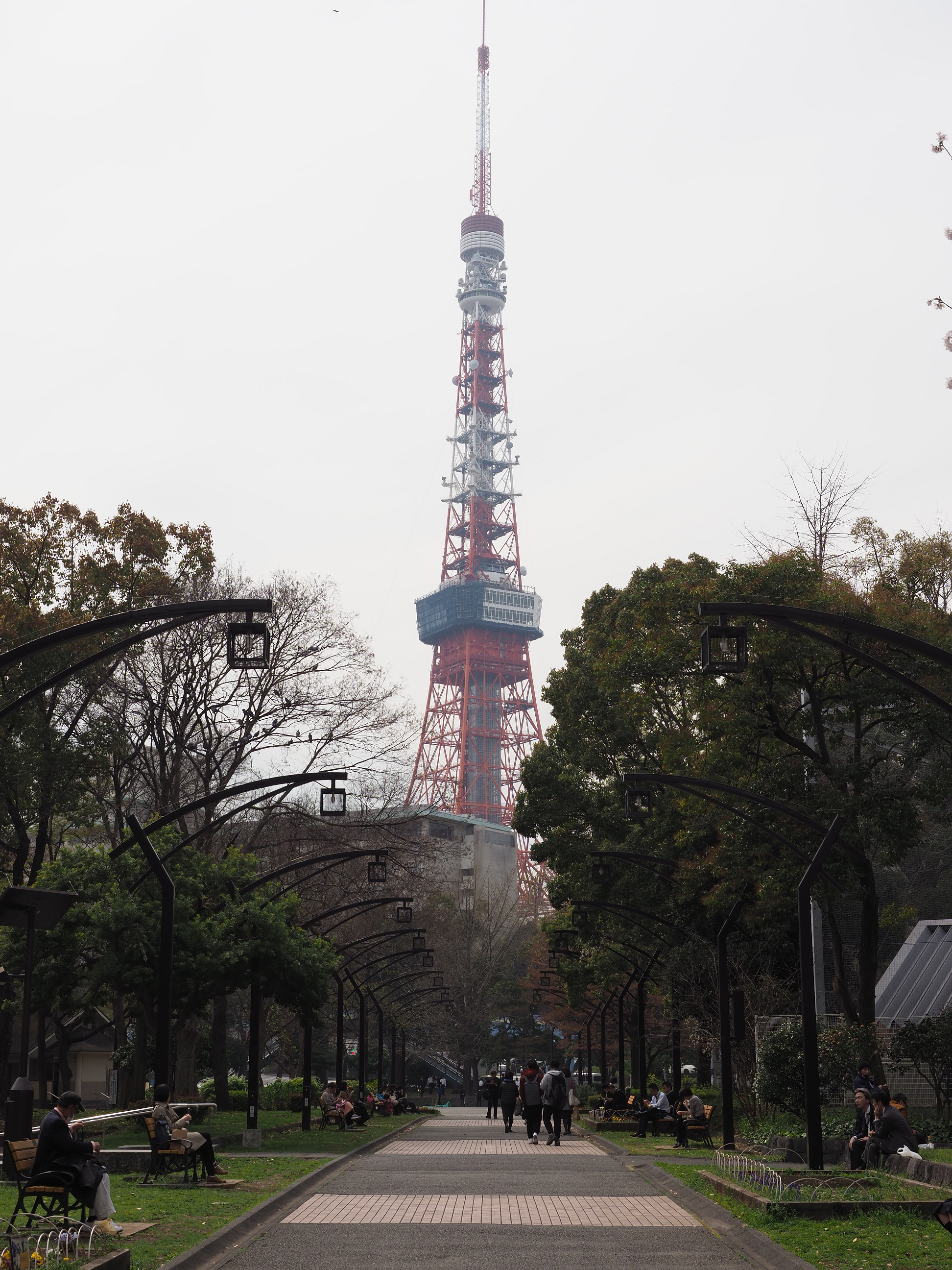 P3260434.jpg