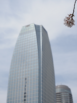P3260458_thumb.png