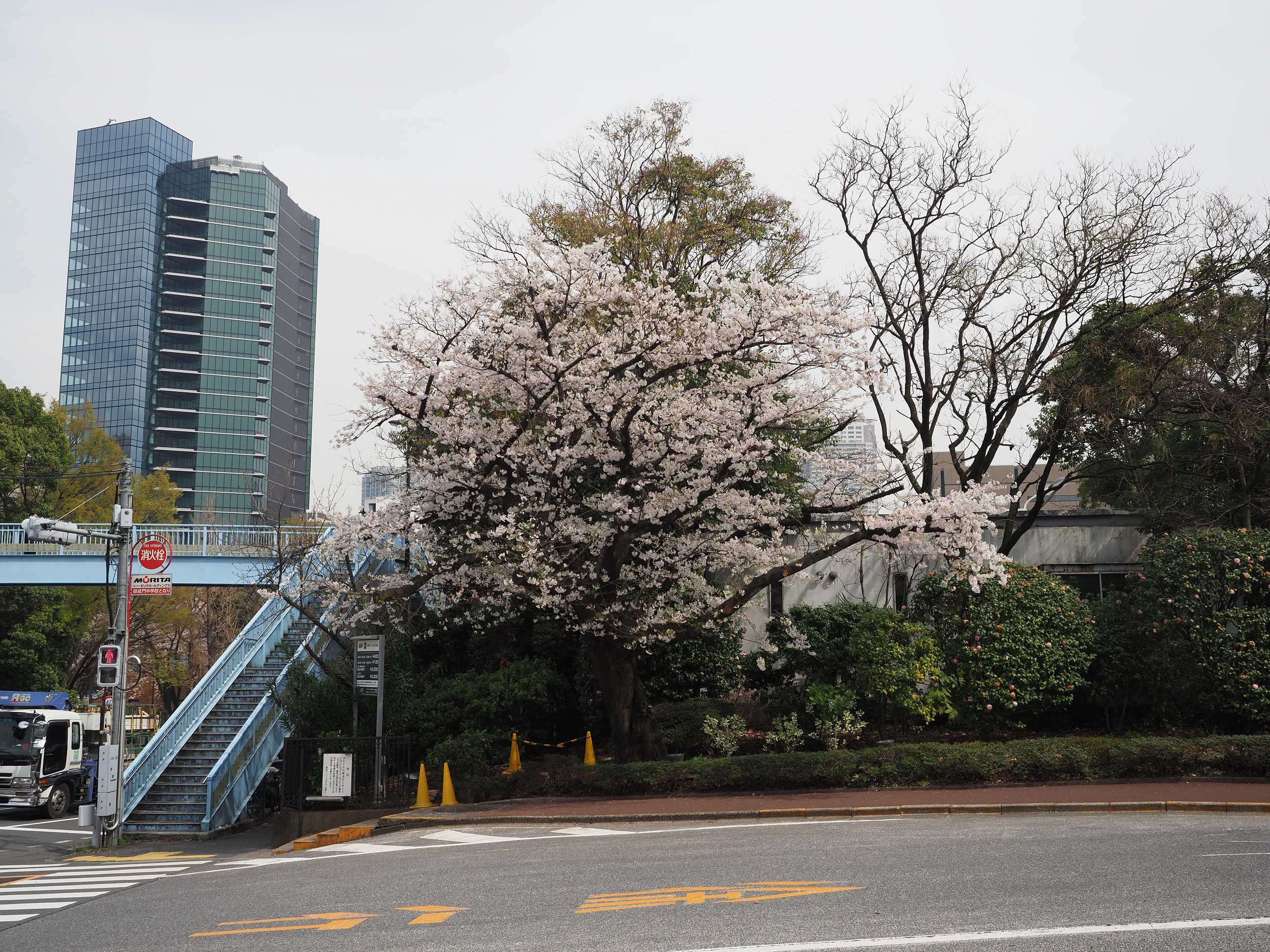P3260467.jpg