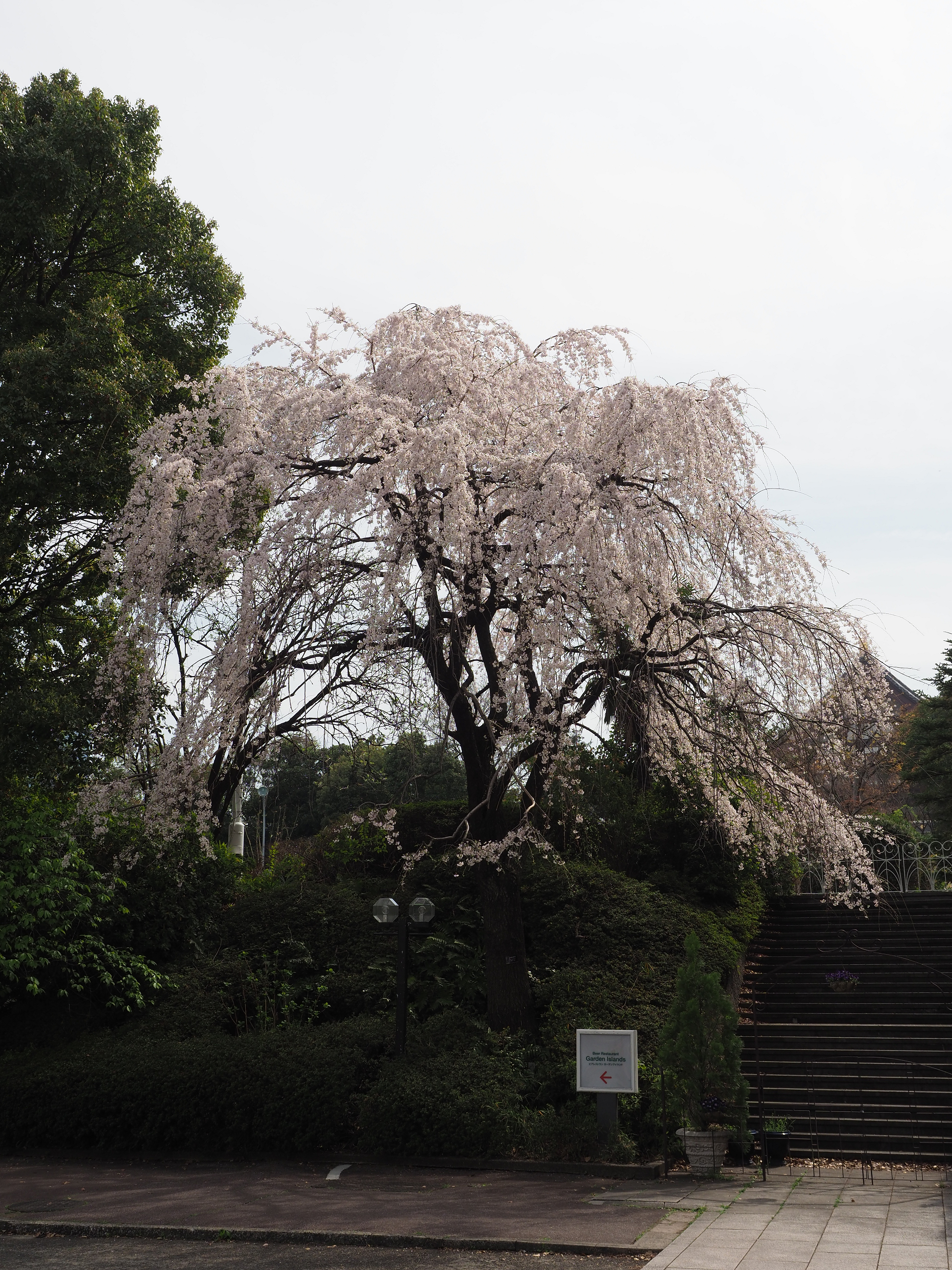 P3260469.jpg