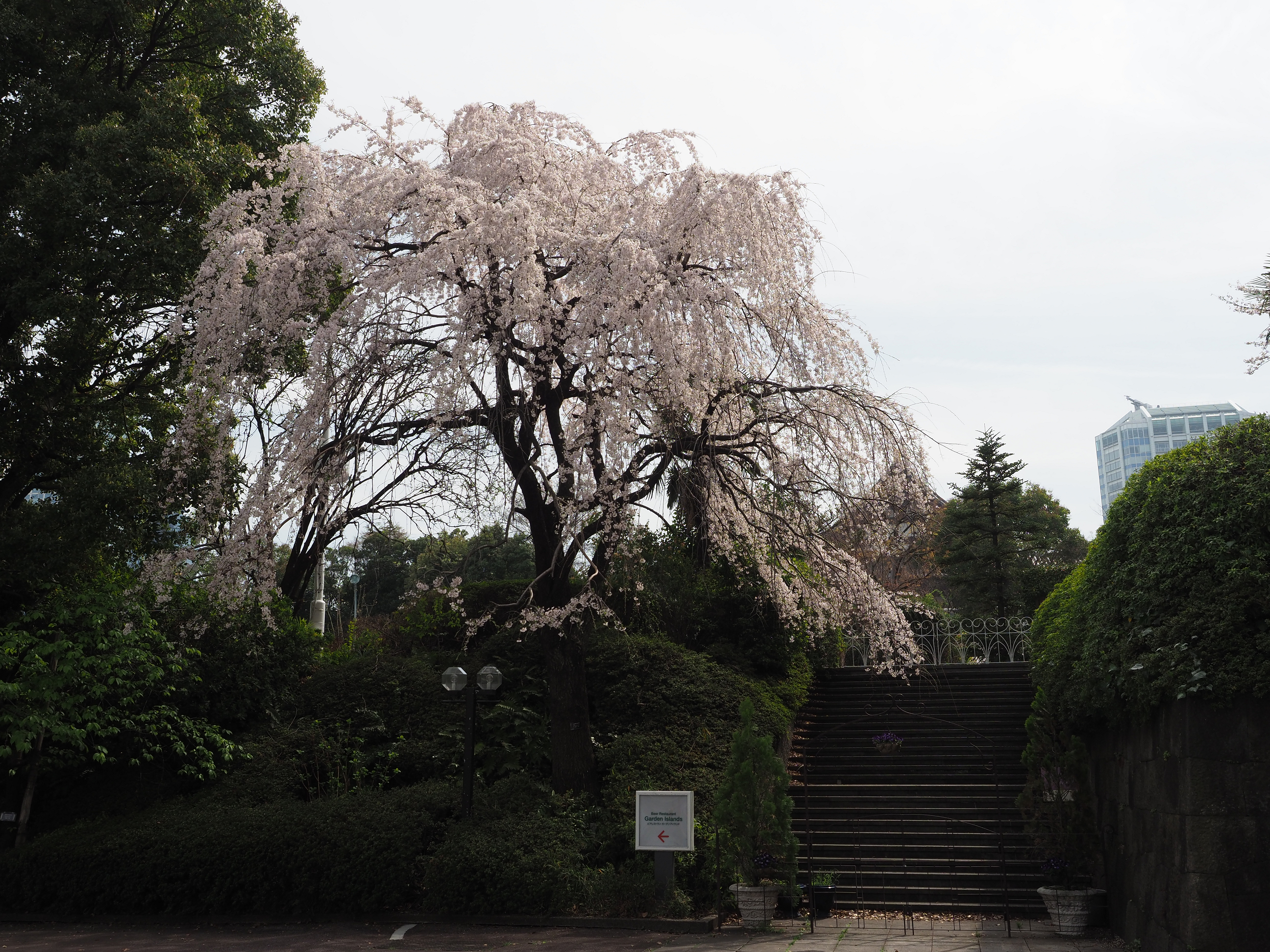 P3260470.jpg