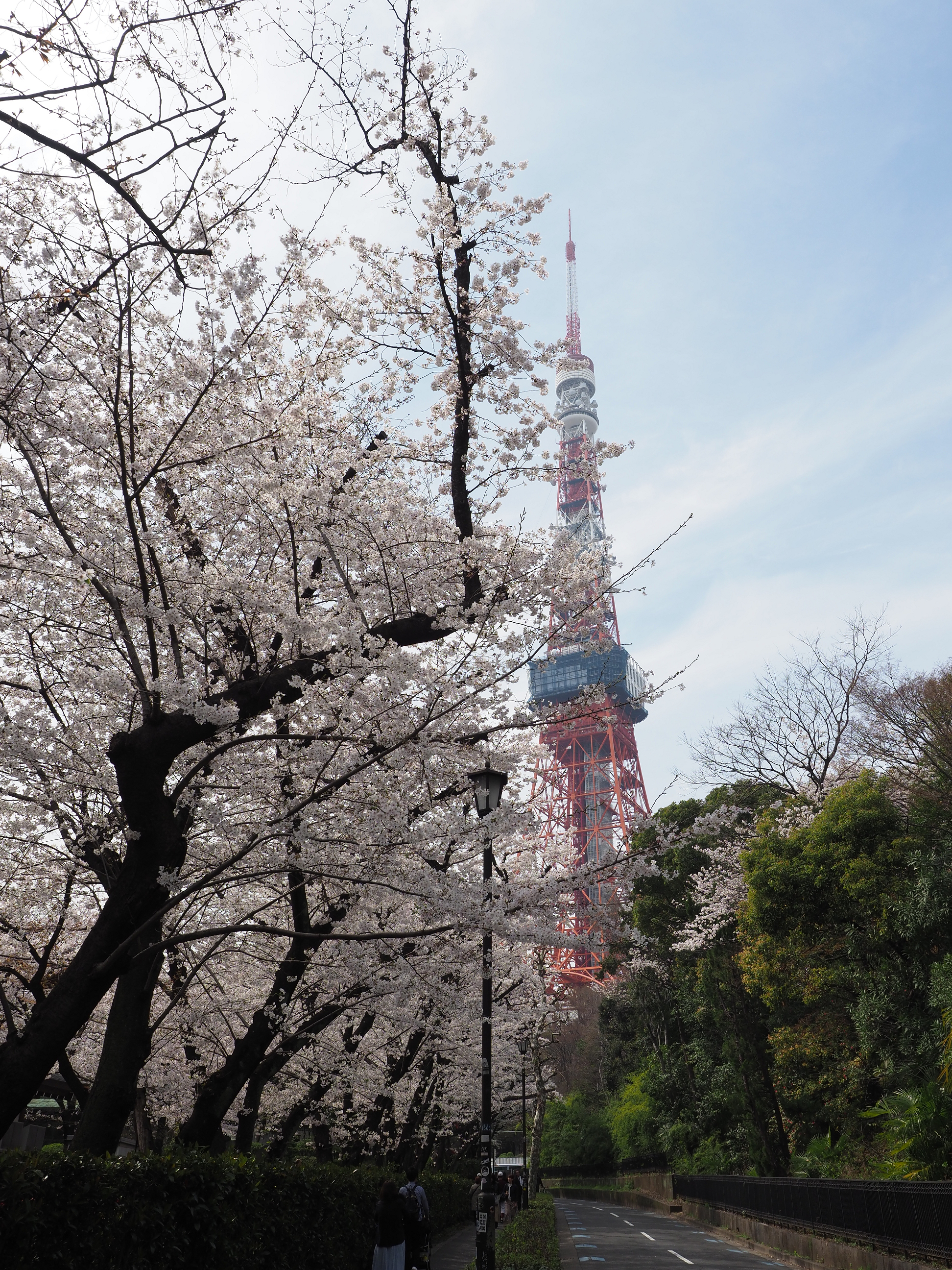 P3260490.jpg