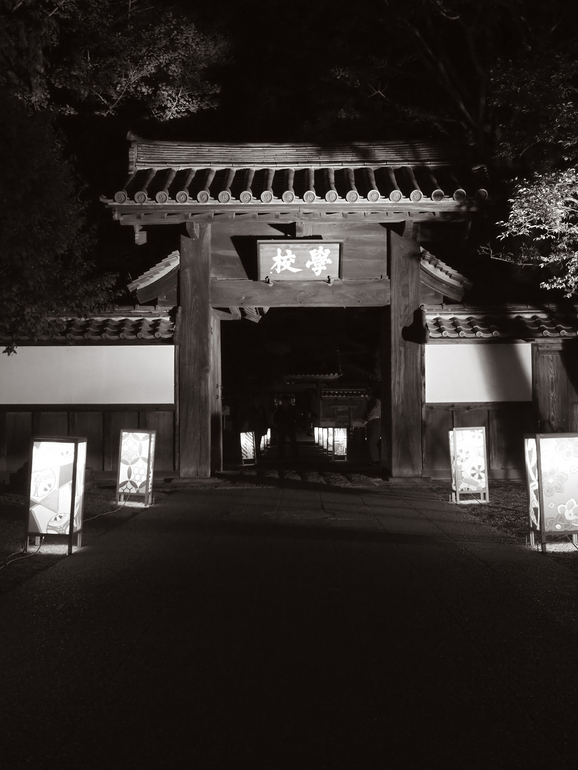 P4280043.jpg