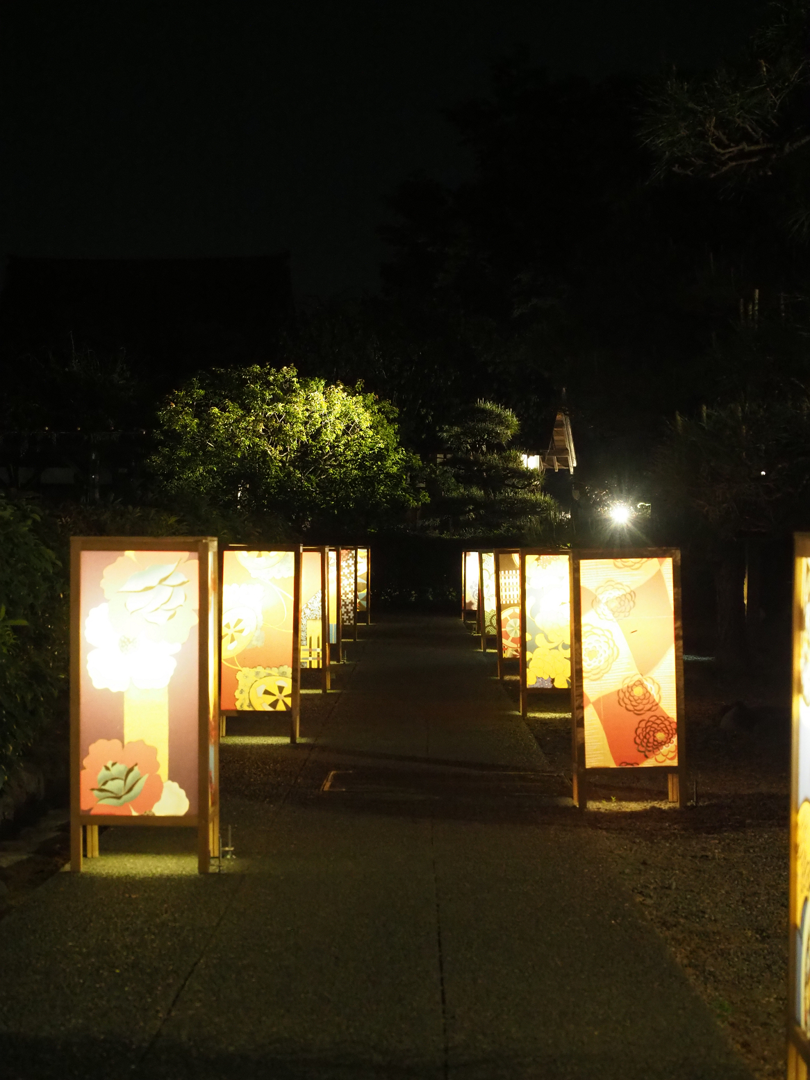 P4280051.jpg