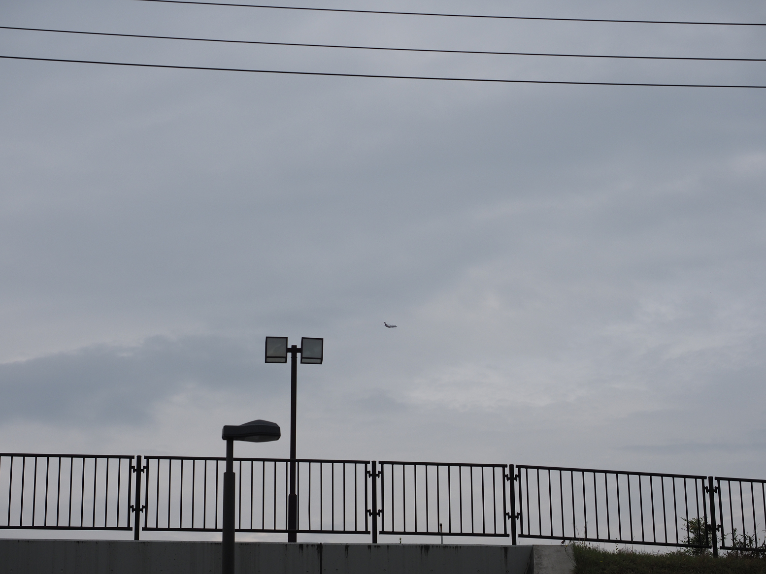 P5070151.jpg