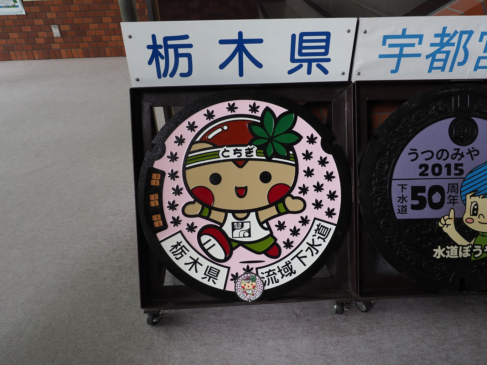 P5070161.jpg