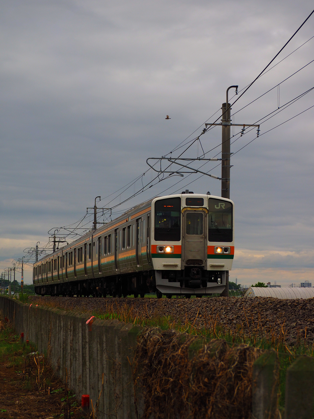 P5090036.jpg