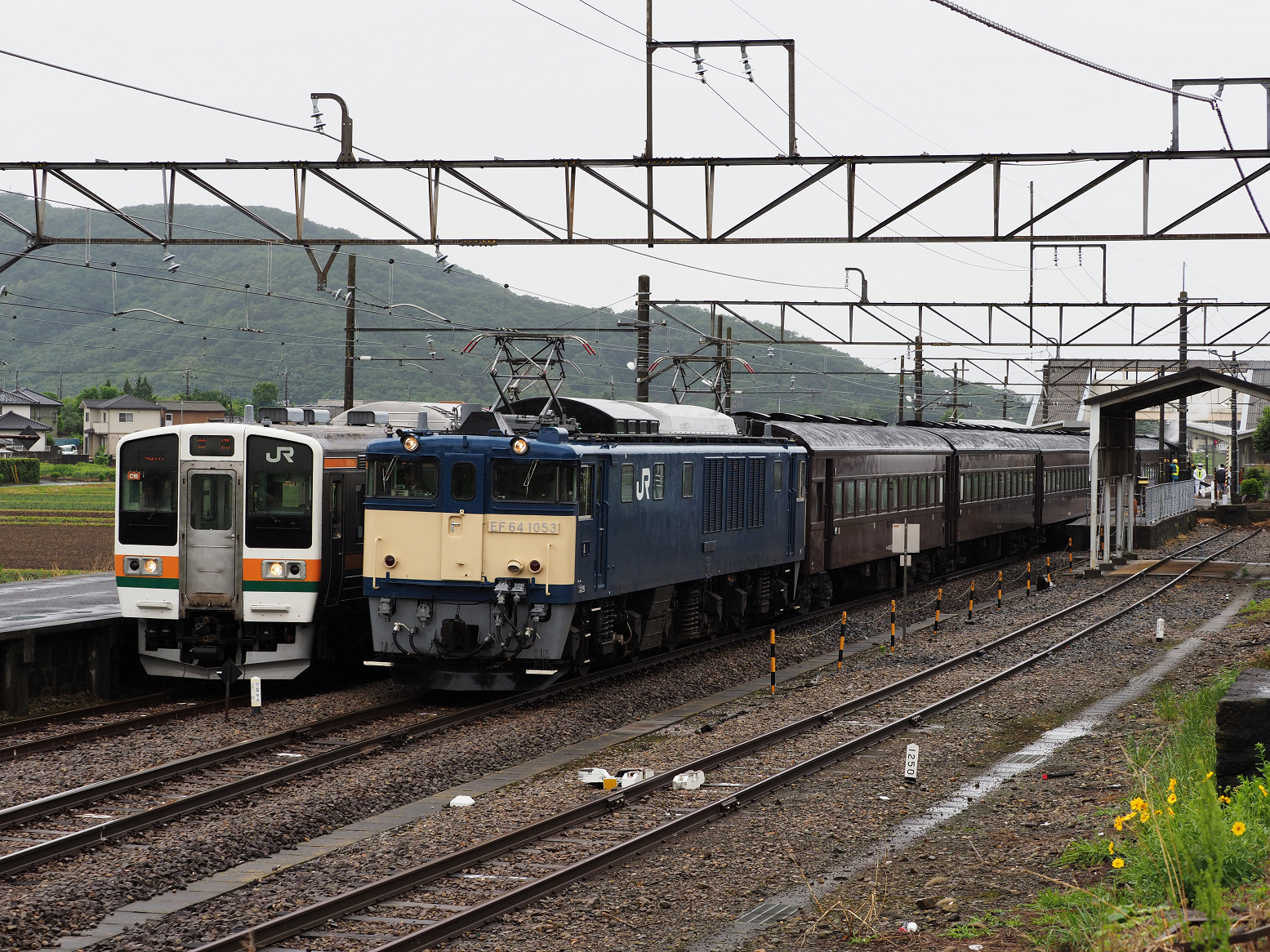 P5090254.jpg