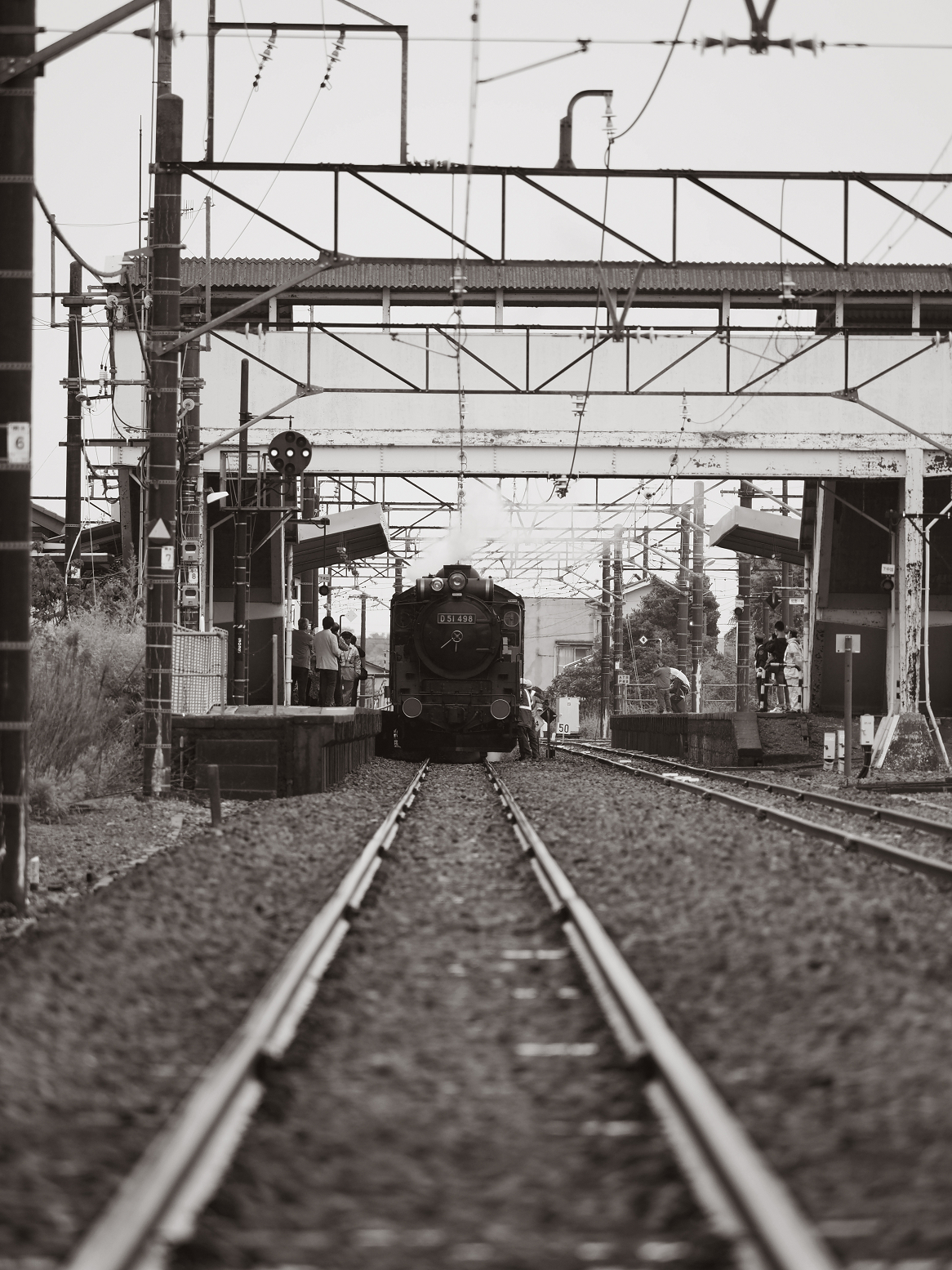 P5090261-.jpg