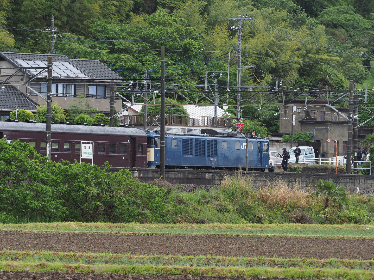 P5090267.jpg