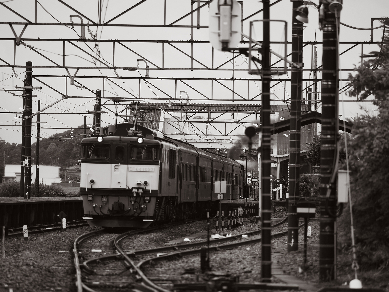 P5090278.jpg