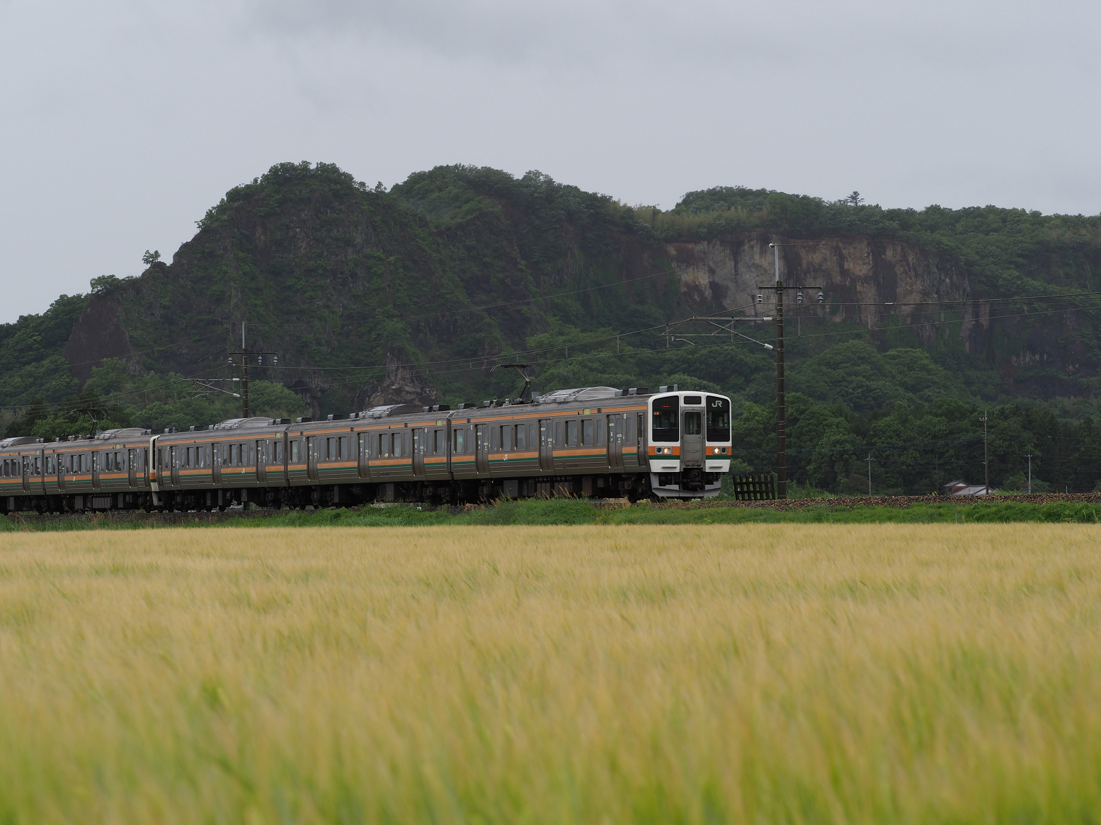 P5090300.jpg