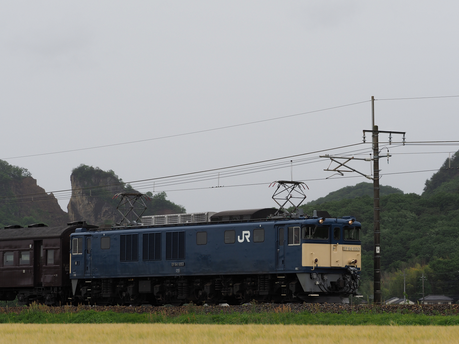 P5090341.jpg