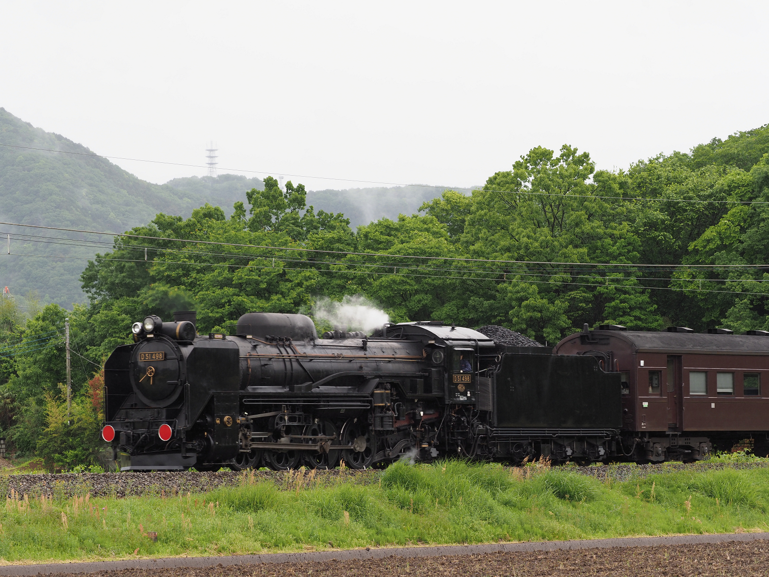 P5090359.jpg