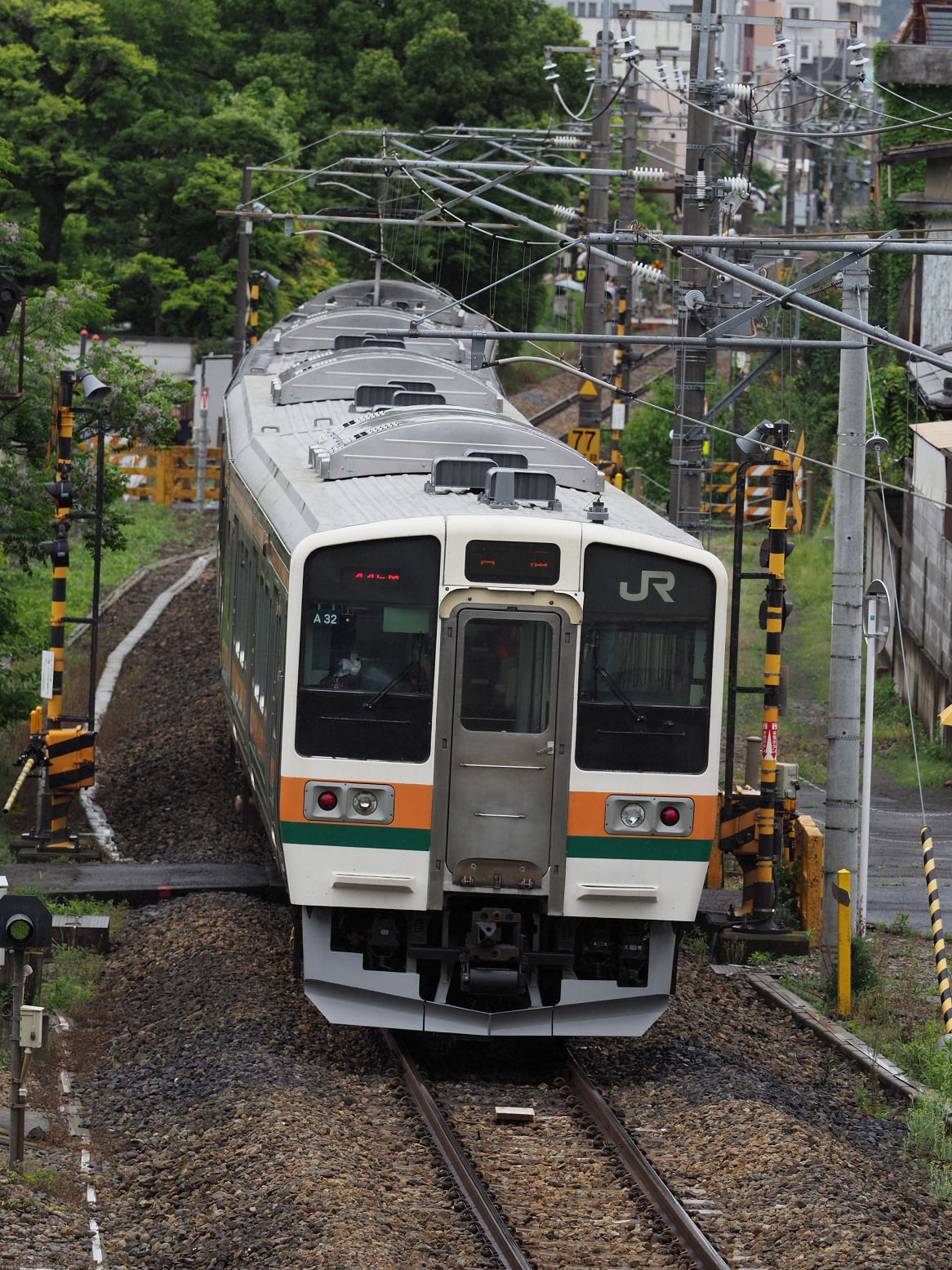 P5090444.jpg