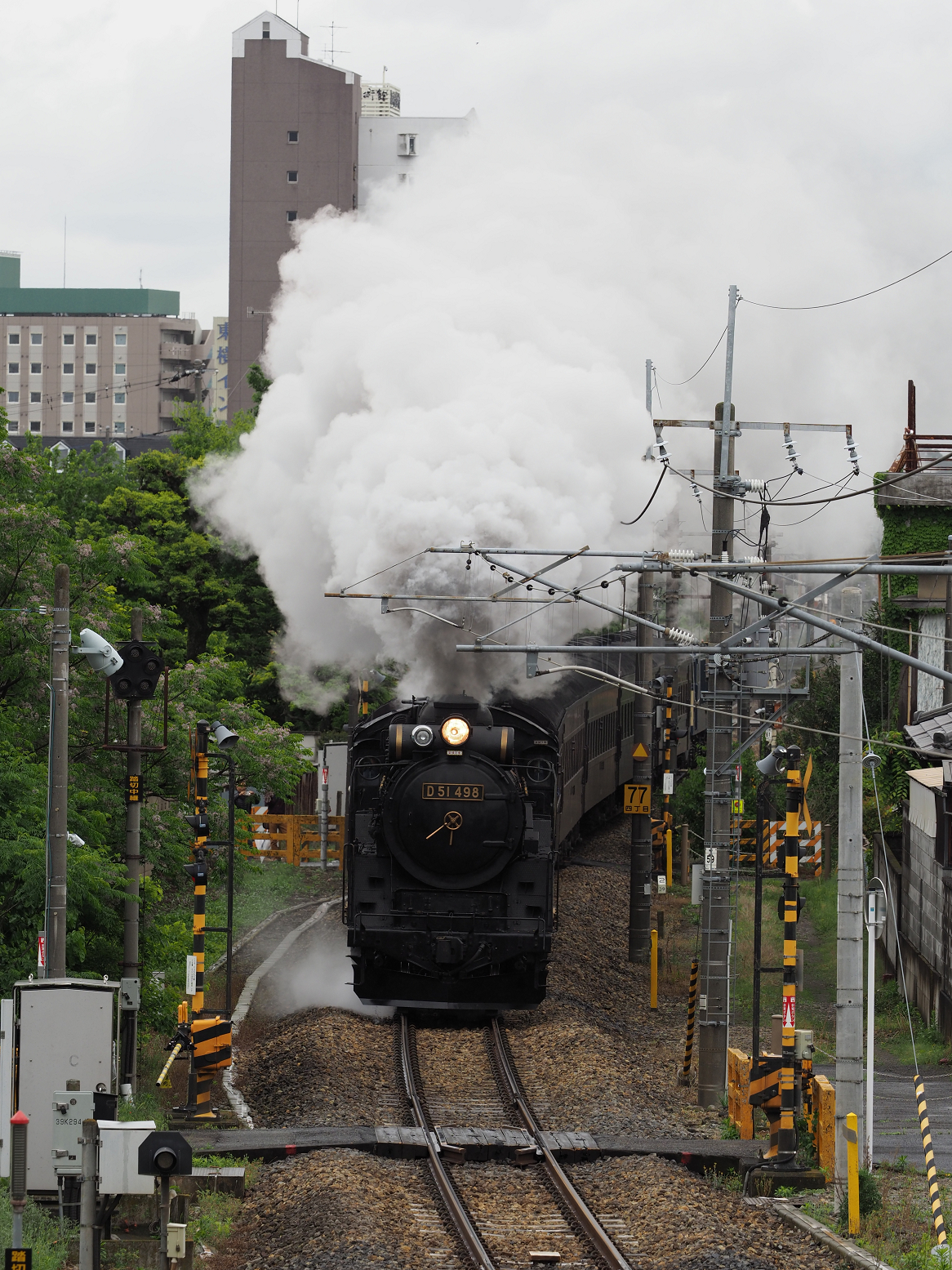 P5090477.jpg