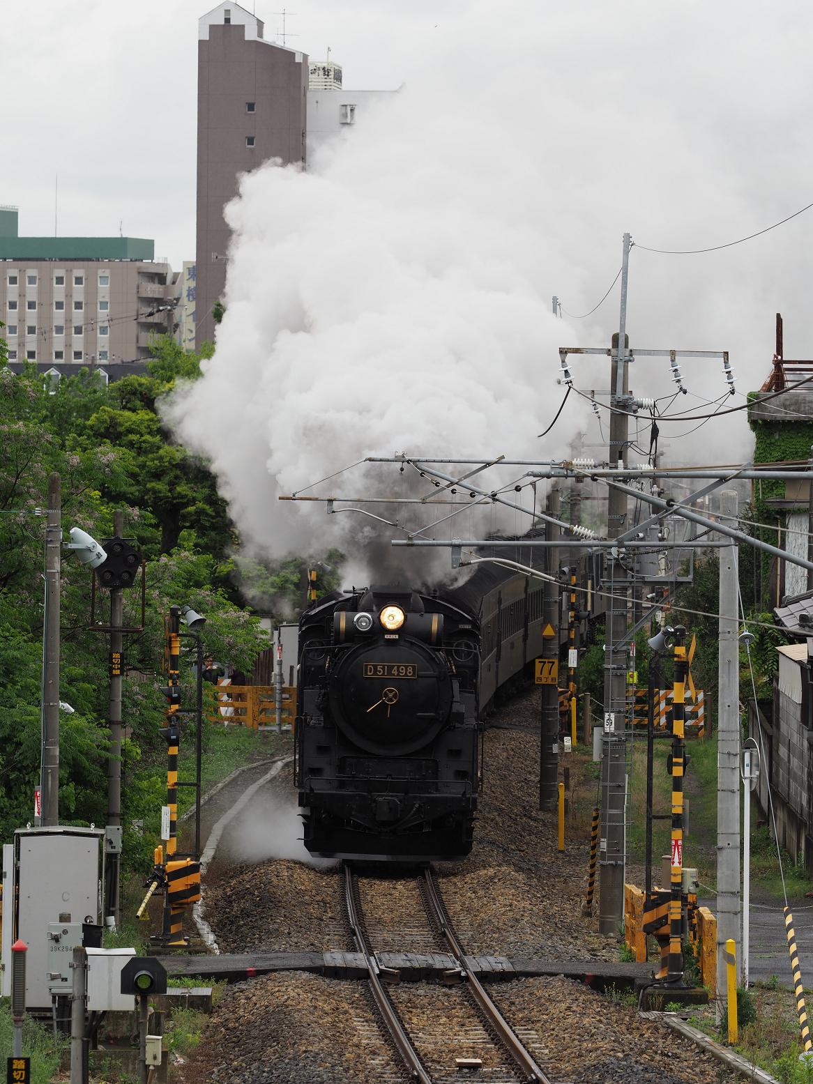 P5090480.jpg