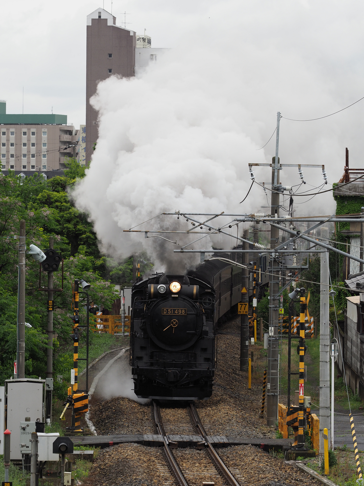 P5090484.jpg