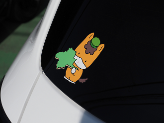 P5110677_thumb.png