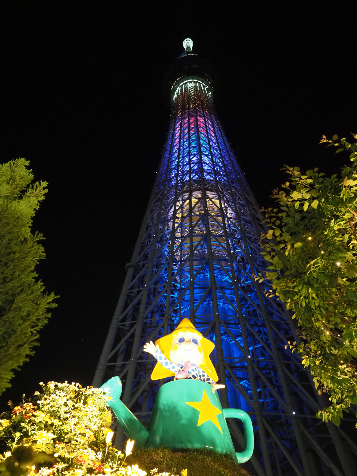 P5150064.jpg