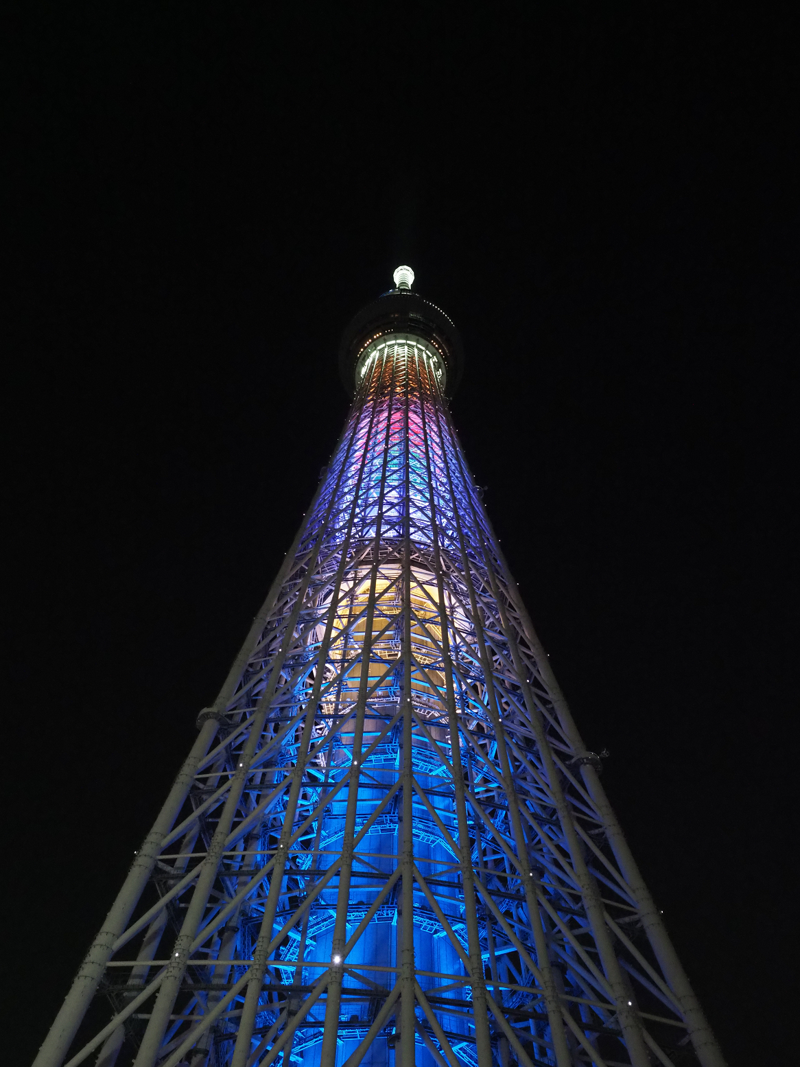 P5150065.jpg