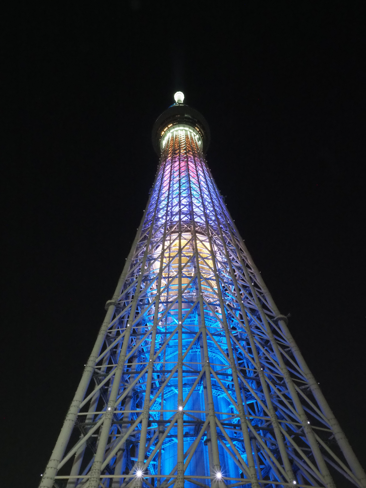 P5150068.jpg