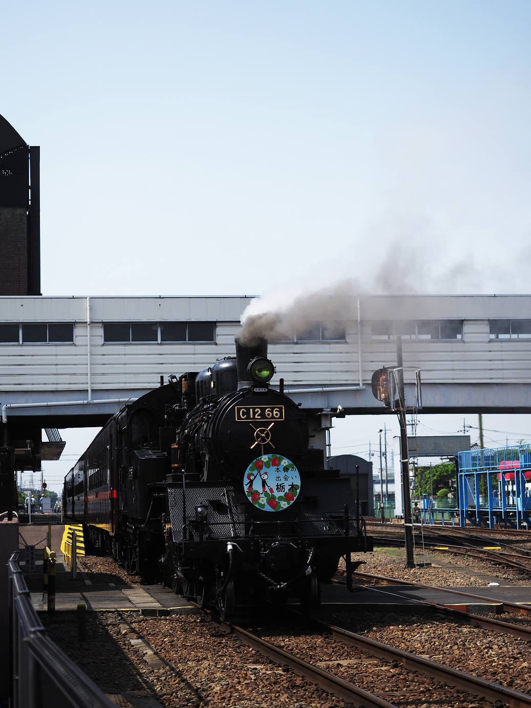 P5160076.jpg