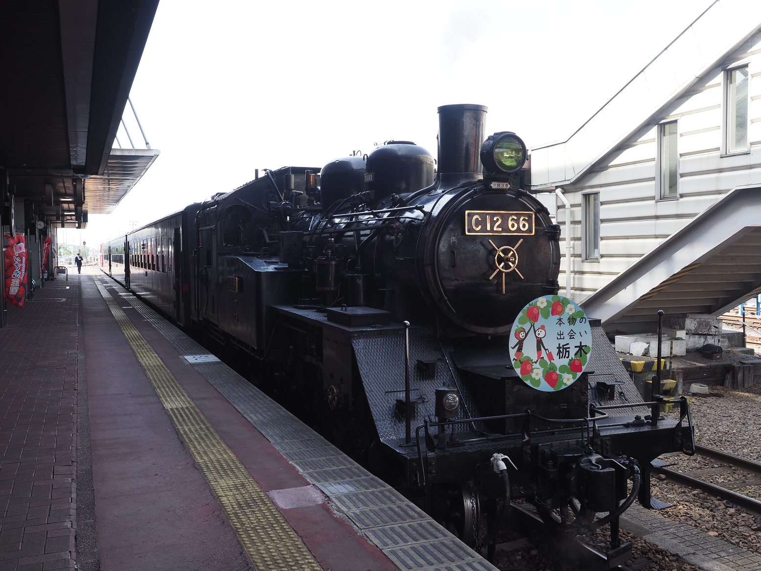 P5160089.jpg