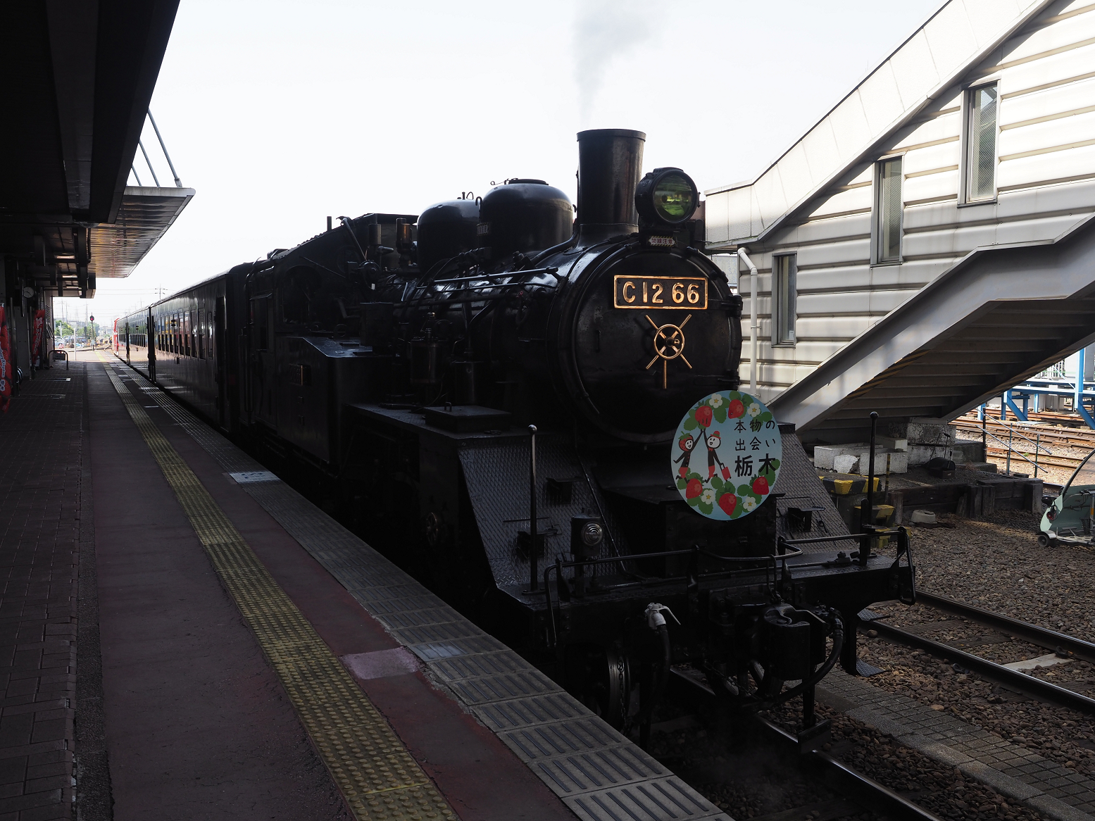 P5160092.jpg