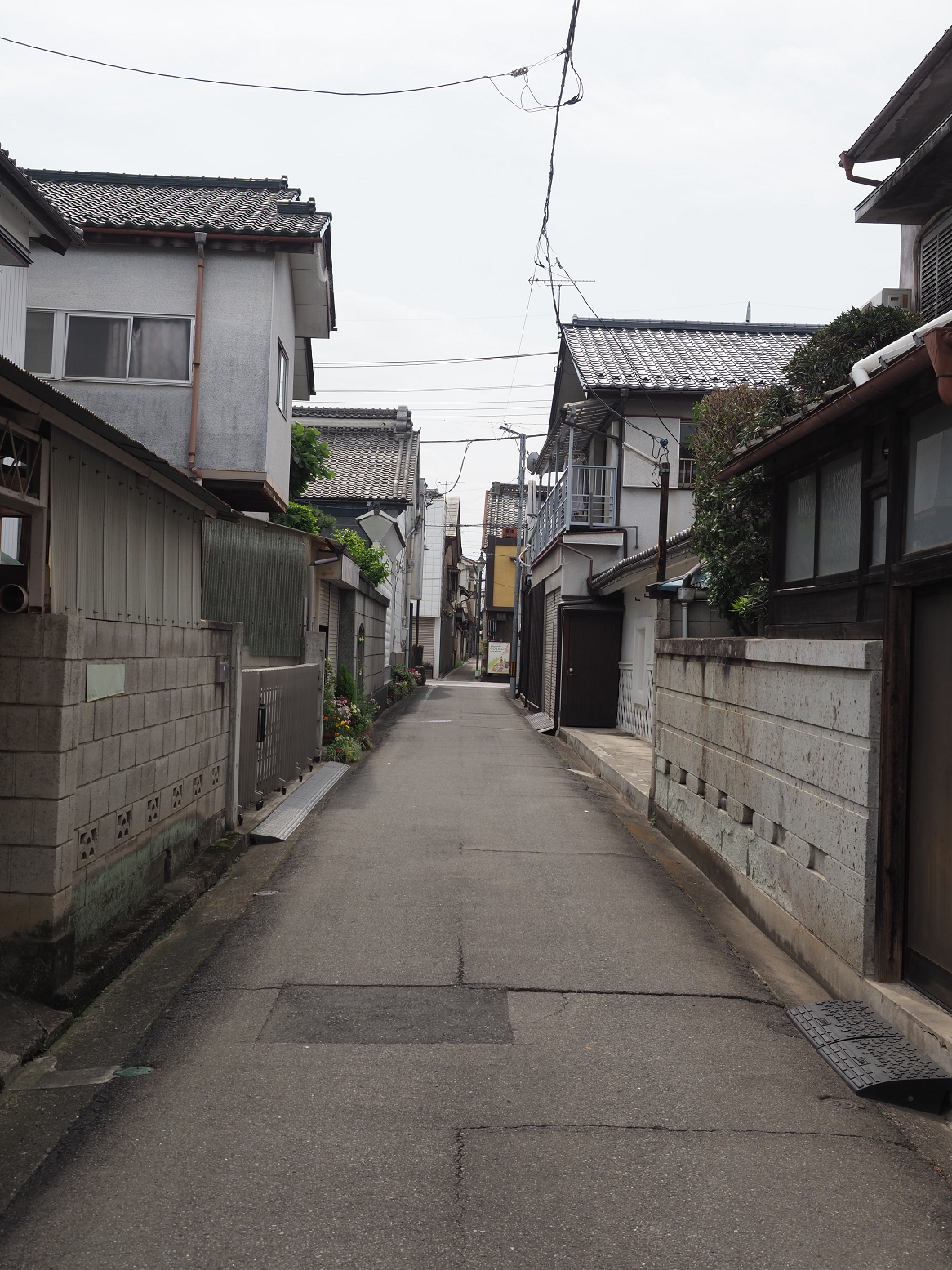 P5170114.jpg