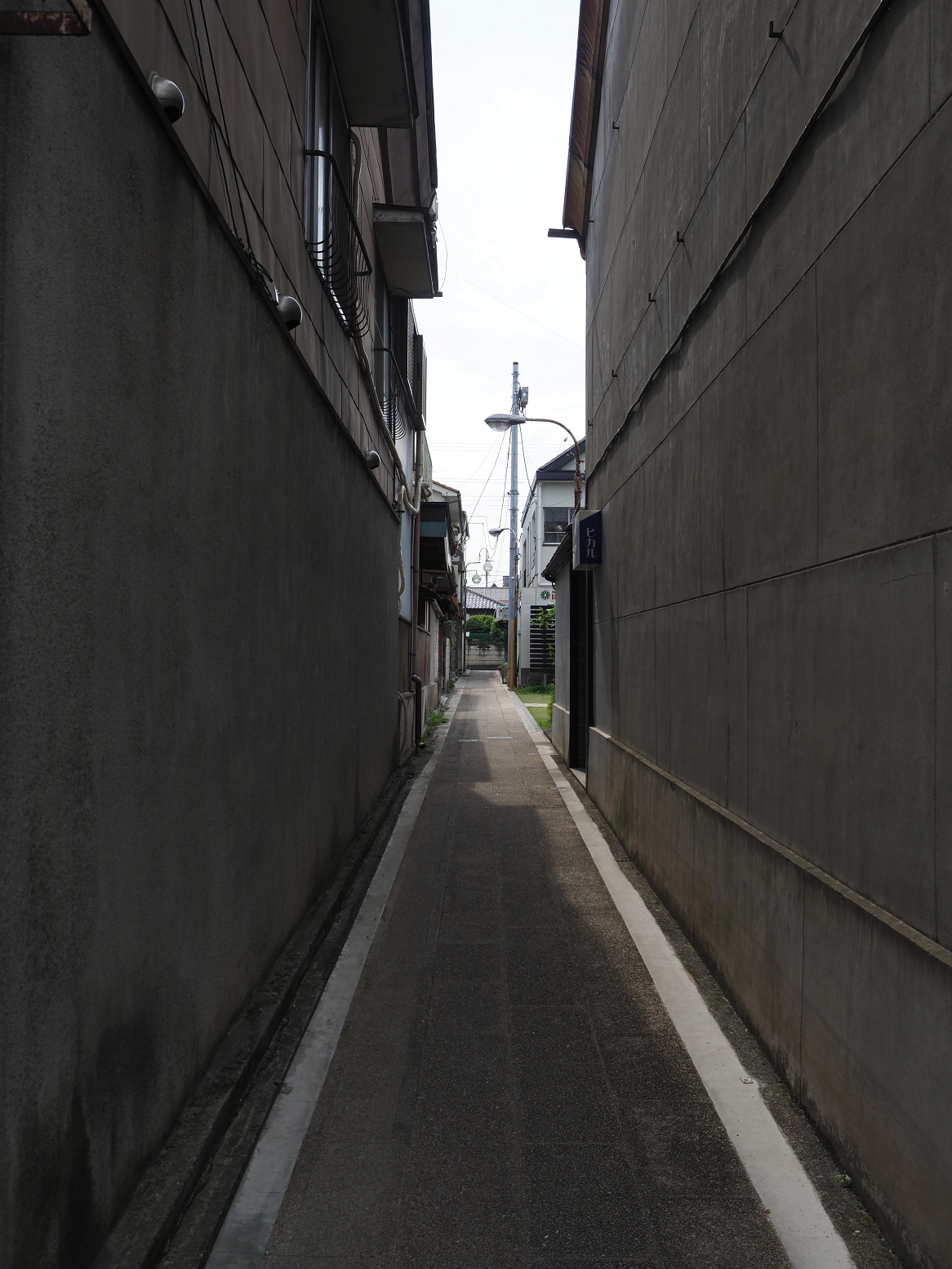 P5170142.jpg
