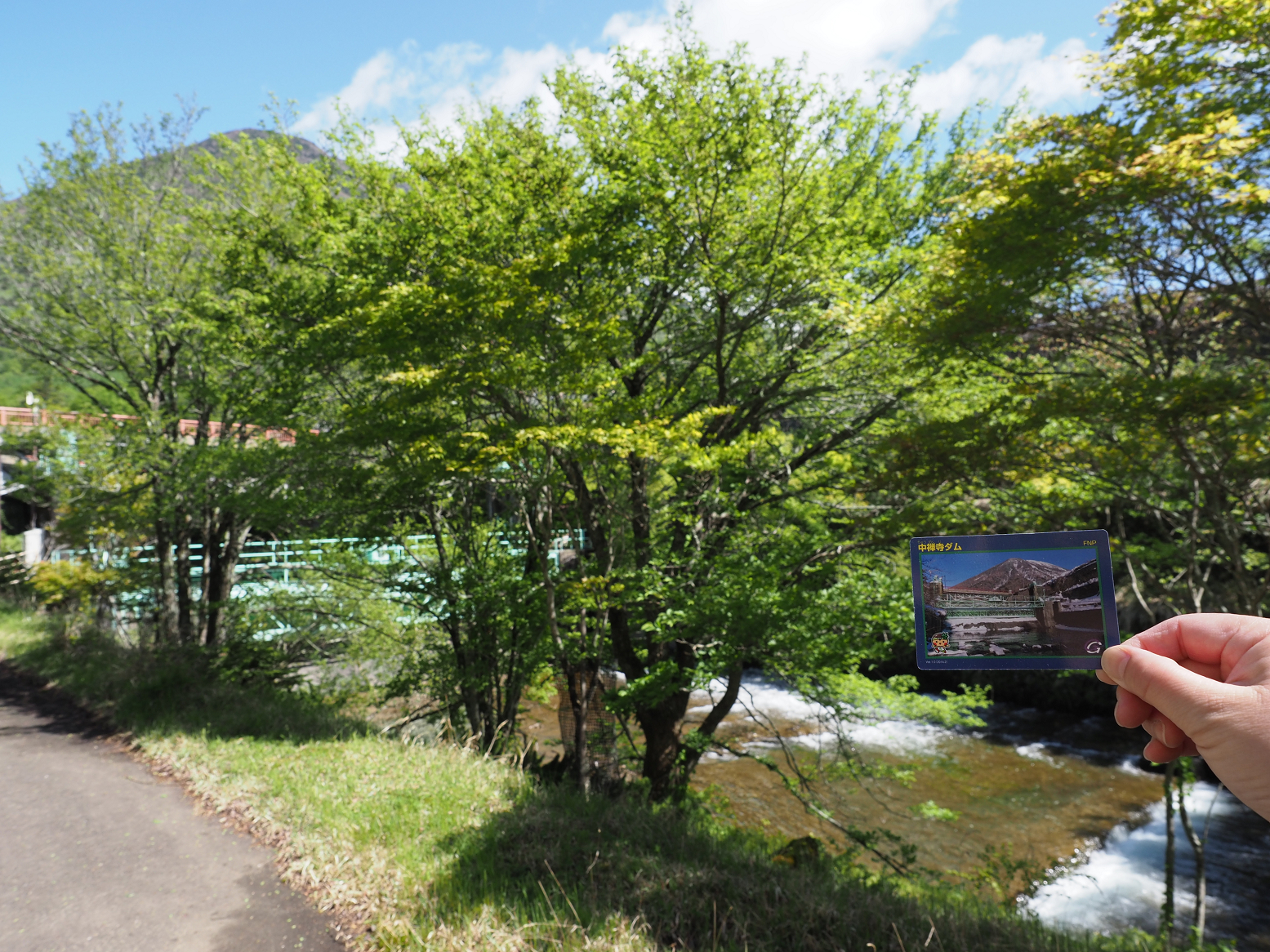 P5190194.jpg