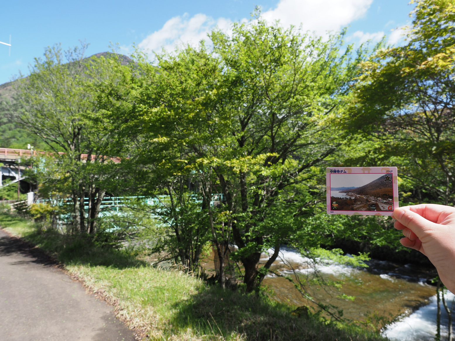 P5190195.jpg