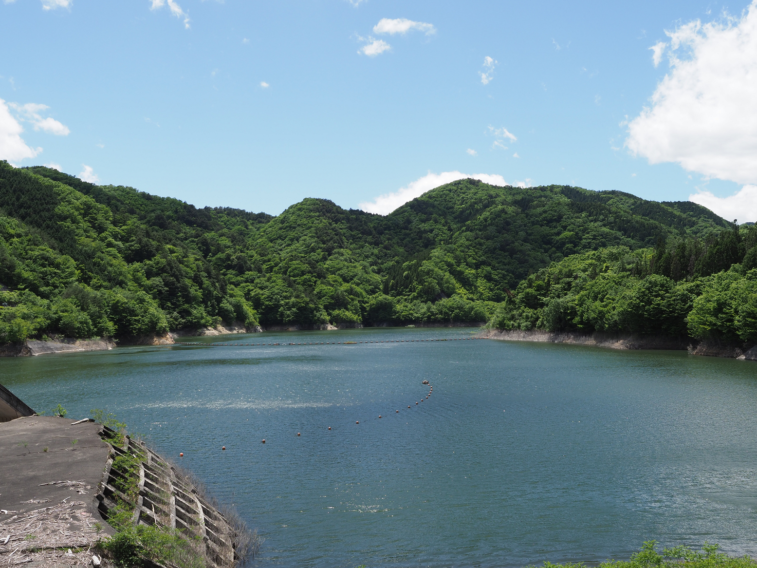 P5190220.jpg