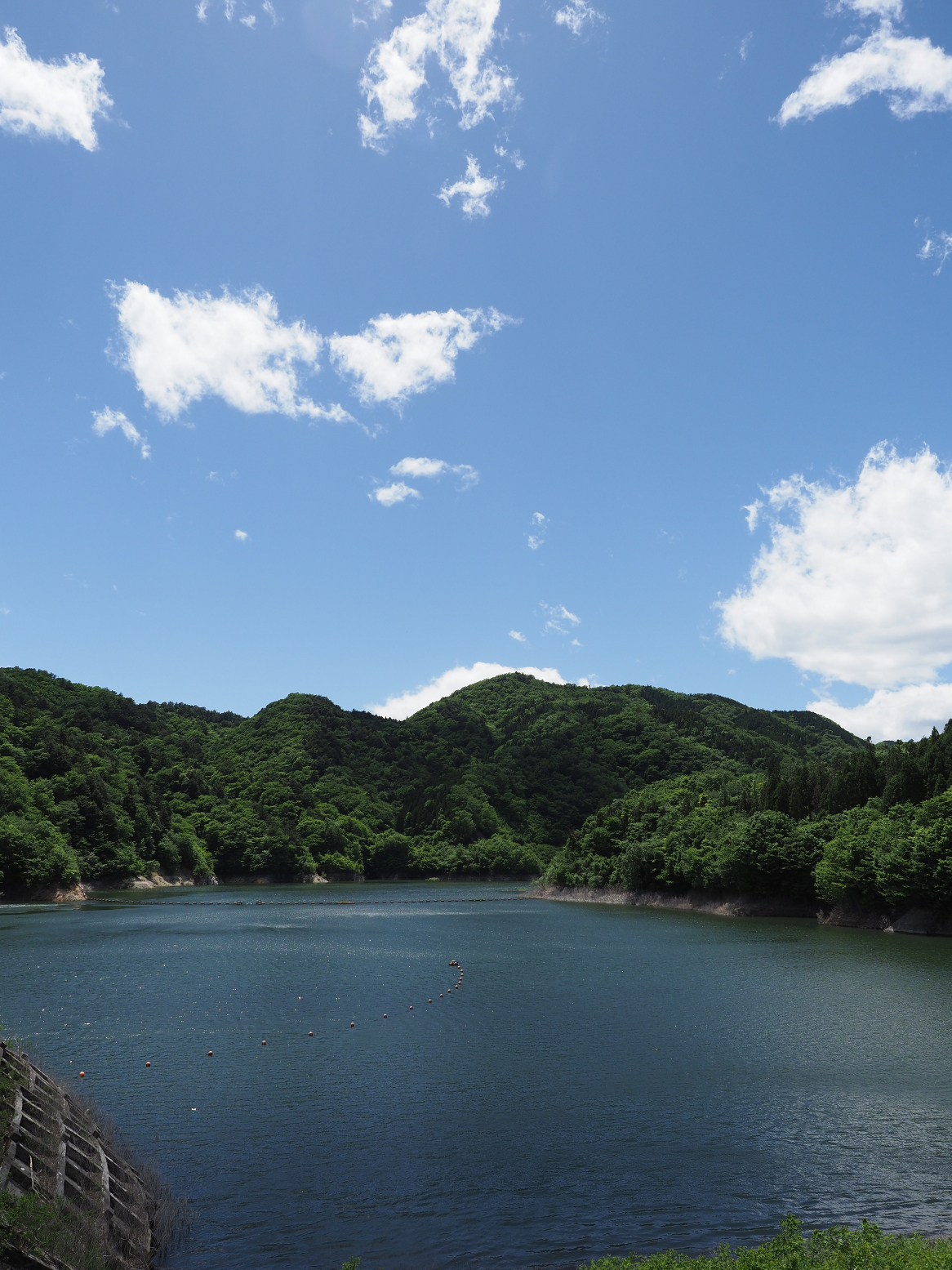 P5190221.jpg