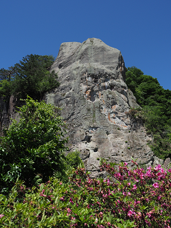 P5190250_thumb.png