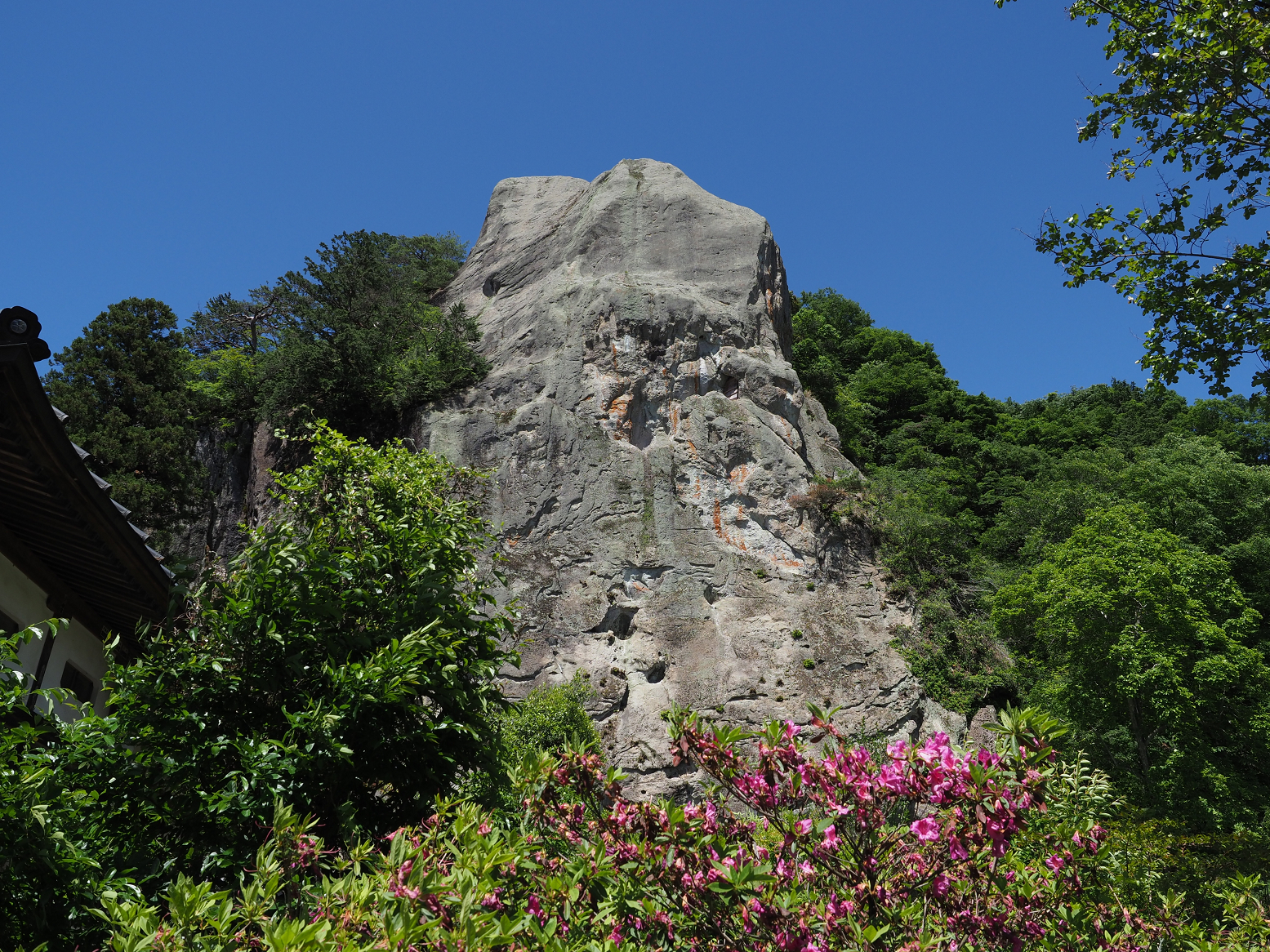 P5190251.jpg