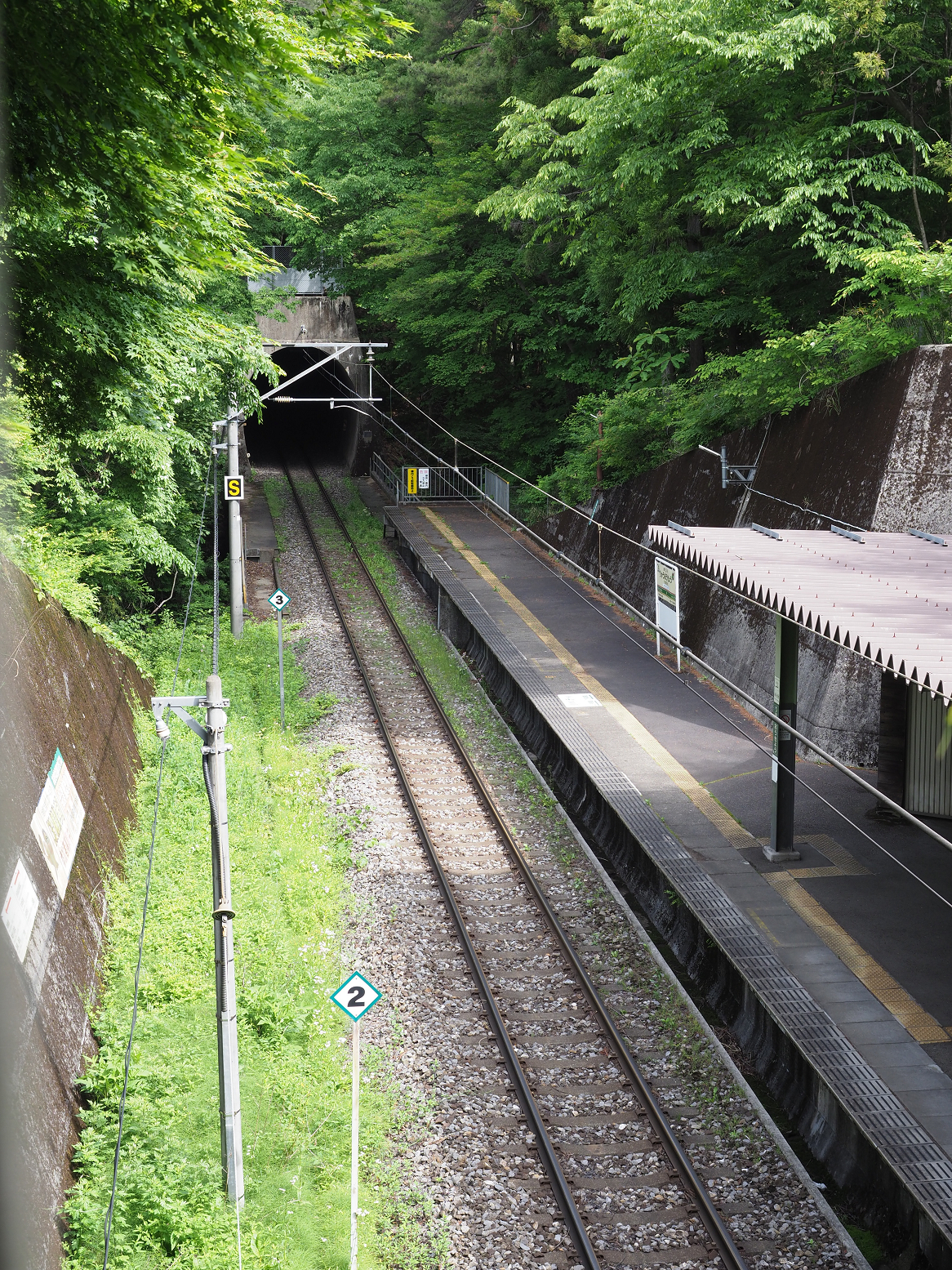 P5260535.jpg