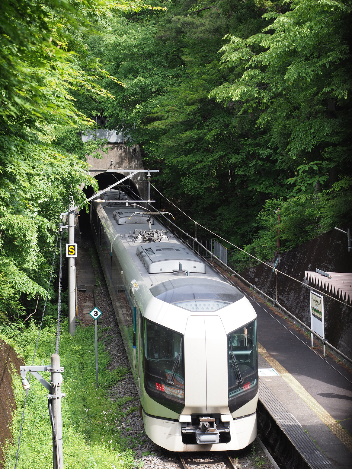 P5260542.jpg