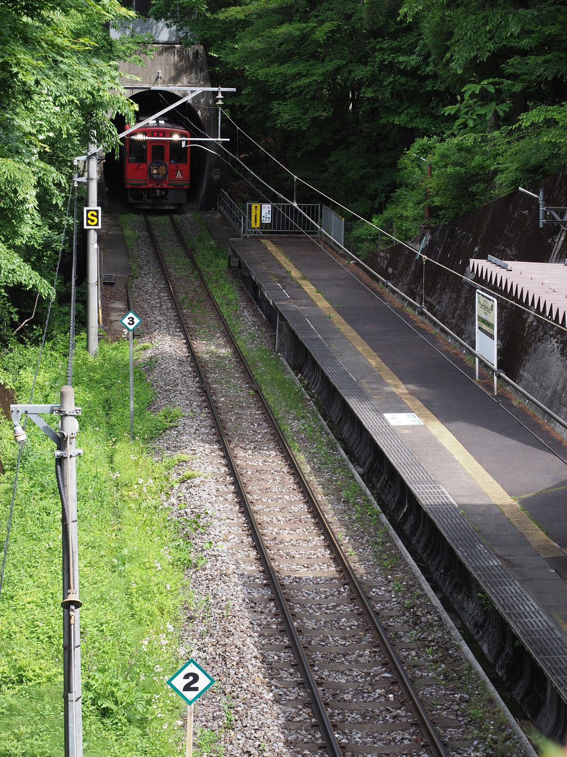 P5260564.jpg