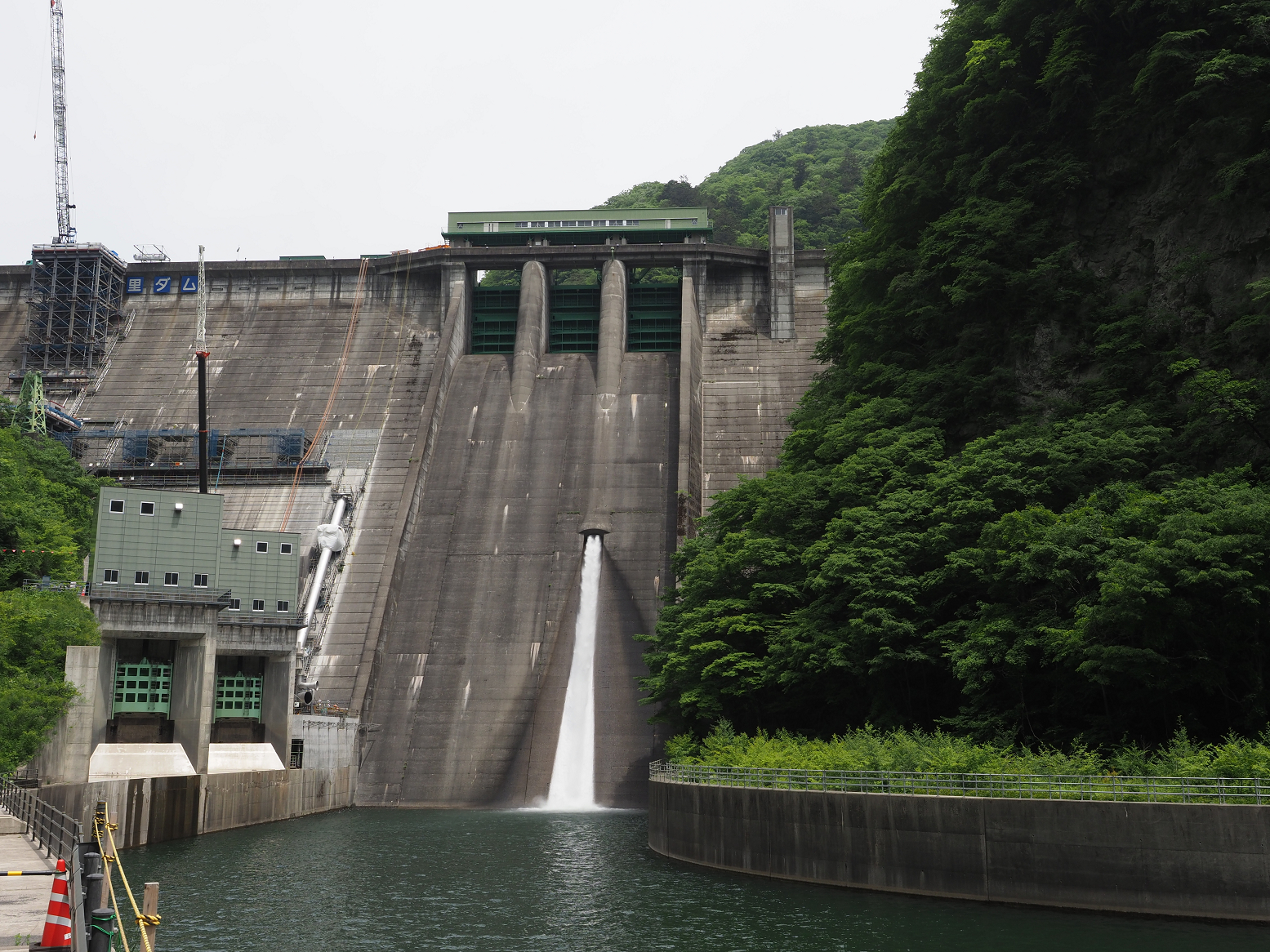 P5260688.jpg