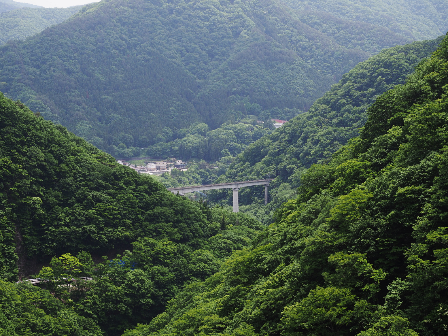 P5260735.jpg